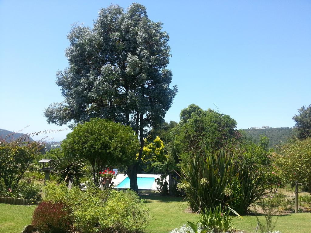 Piesang Valley Lodge Plettenberg Bay Pokoj fotografie